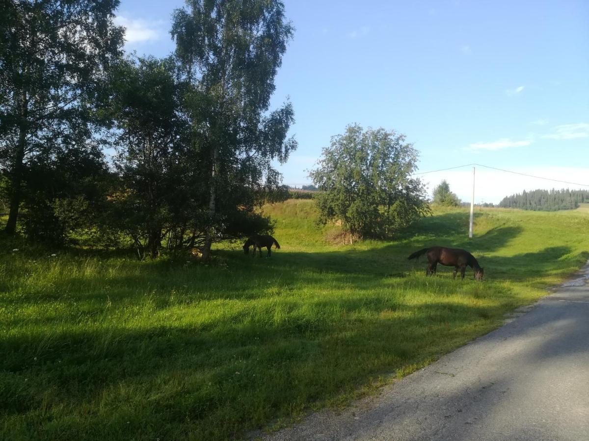 Pokoje Goscinne Duda Białka Tatrzańska Exterior foto
